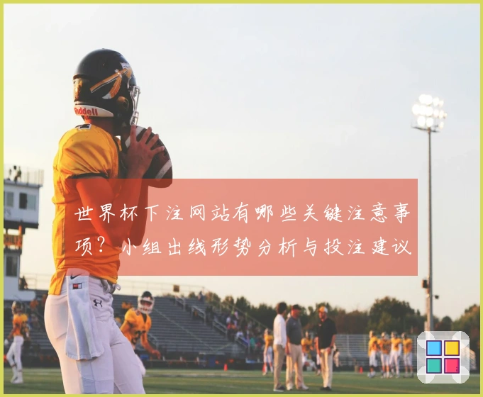世界杯下注网站有哪些关键注意事项？小组出线形势分析与投注建议