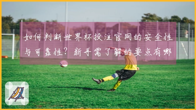 如何判断世界杯投注官网的安全性与可靠性？新手需了解的要点有哪些