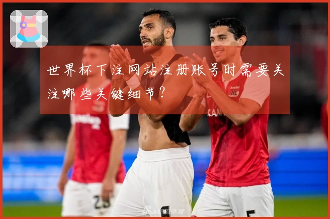 世界杯下注网站注册账号时需要关注哪些关键细节？