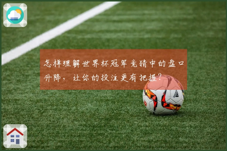 怎样理解世界杯冠军竞猜中的盘口升降，让你的投注更有把握？