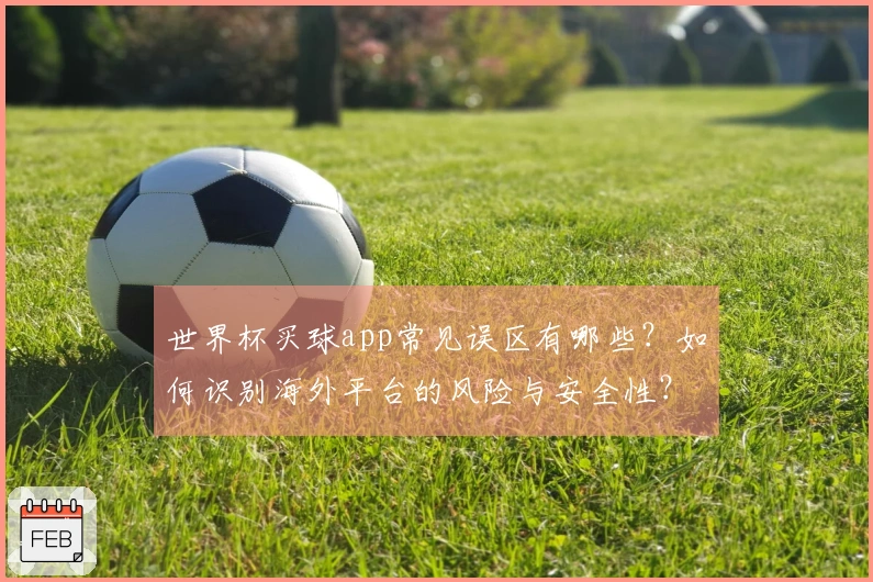 世界杯买球app常见误区有哪些？如何识别海外平台的风险与安全性？