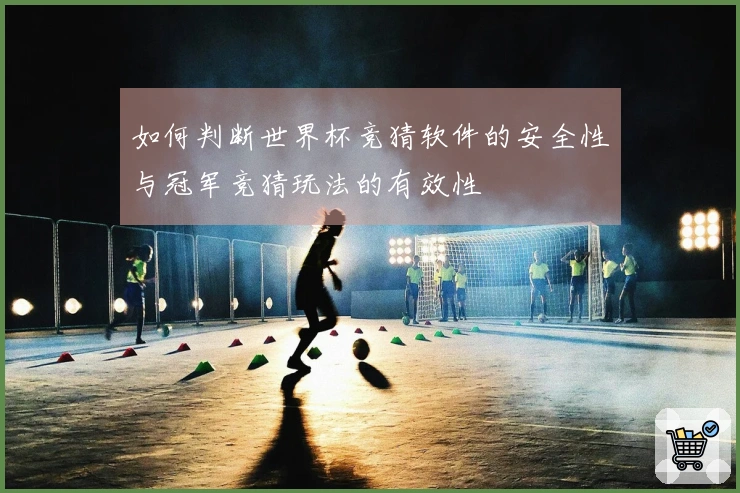 如何判断世界杯竞猜软件的安全性与冠军竞猜玩法的有效性