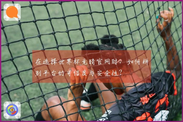 在选择世界杯竞猜官网时,如何辨别平台的可信度与安全性?