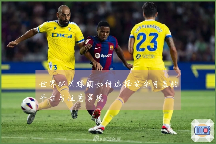 世界杯买球前如何选择安全可靠的平台与注意事项