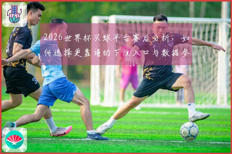 2026世界杯买球平台赛后分析，如何选择更靠谱的下注入口与数据参考方法