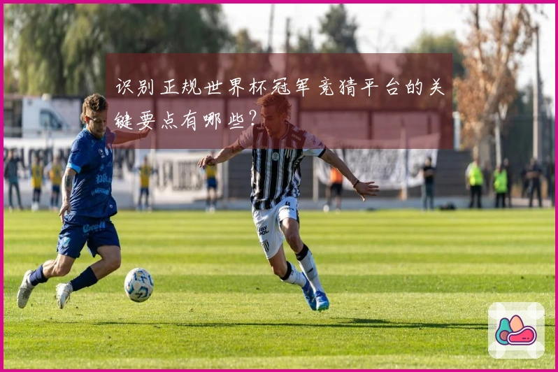 识别正规世界杯冠军竞猜平台的关键要点有哪些？