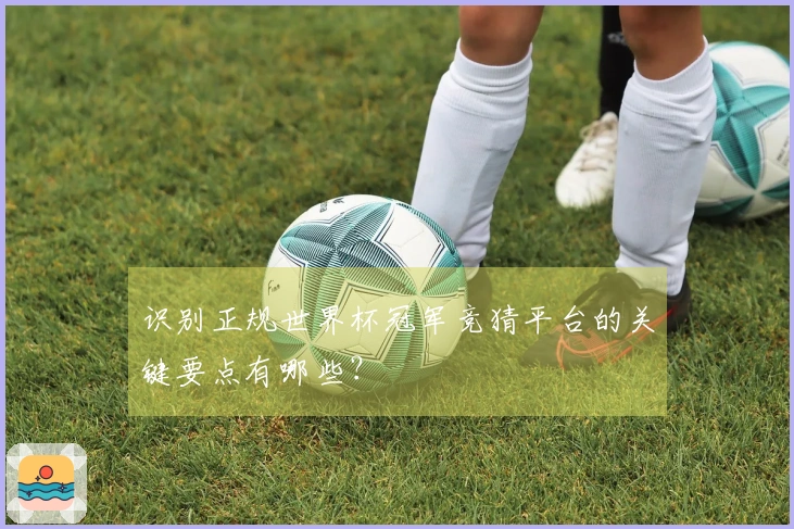 识别正规世界杯冠军竞猜平台的关键要点有哪些？