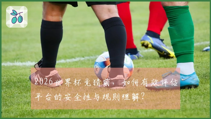 2026世界杯竞猜前，如何有效评估平台的安全性与规则理解？