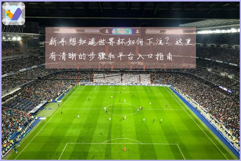 新手想知道世界杯如何下注？这里有清晰的步骤和平台入口指南