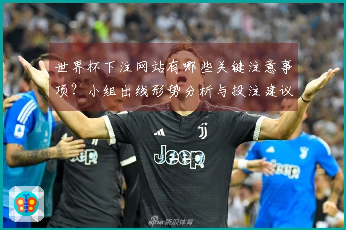 世界杯下注网站有哪些关键注意事项？小组出线形势分析与投注建议