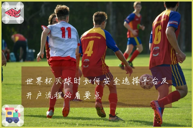 世界杯买球时如何安全选择平台及开户流程必看要点