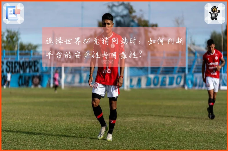 选择世界杯竞猜网站时,如何判断平台的安全性与可靠性?