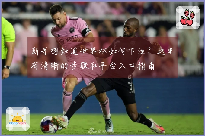 新手想知道世界杯如何下注？这里有清晰的步骤和平台入口指南