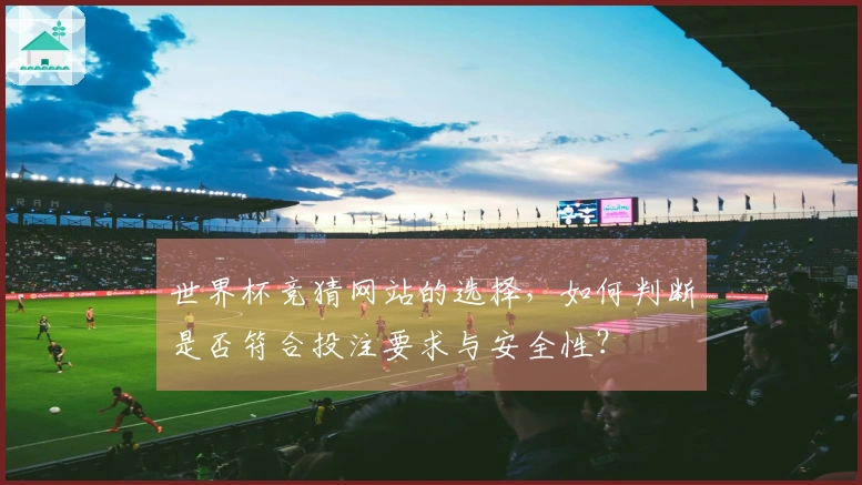 世界杯竞猜网站的选择，如何判断是否符合投注要求与安全性？