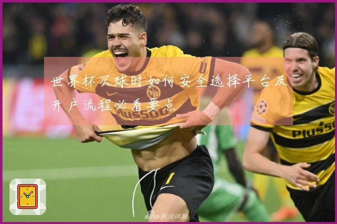 世界杯买球时如何安全选择平台及开户流程必看要点