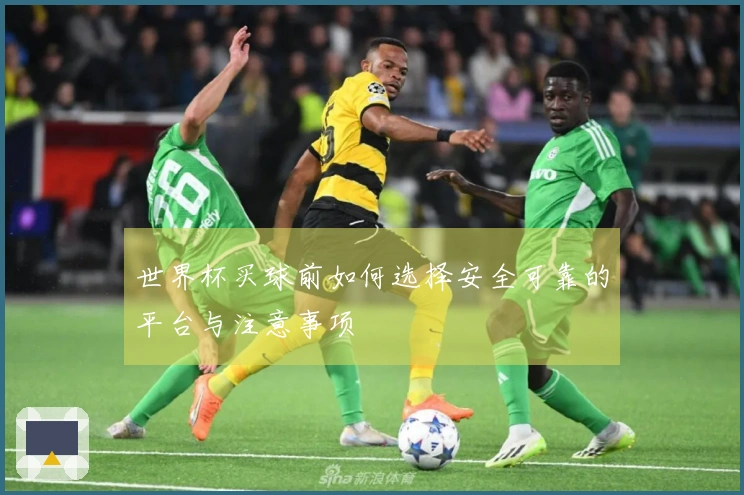 世界杯买球前如何选择安全可靠的平台与注意事项