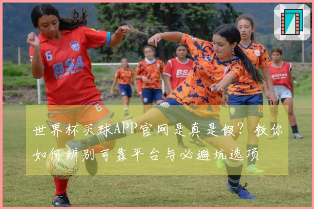 世界杯买球APP官网是真是假？教你如何辨别可靠平台与必避坑选项
