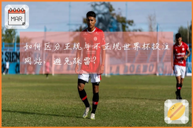 如何区分正规与不正规世界杯投注网站,避免踩雷?