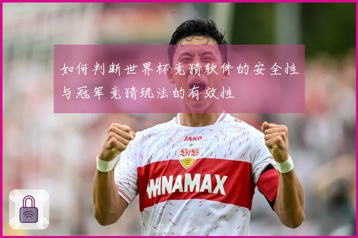 如何判断世界杯竞猜软件的安全性与冠军竞猜玩法的有效性