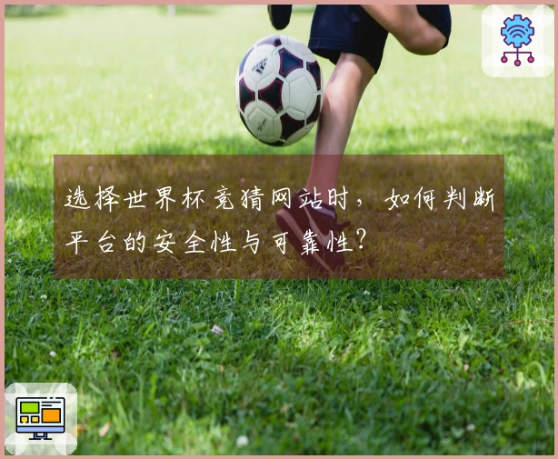 选择世界杯竞猜网站时，如何判断平台的安全性与可靠性？