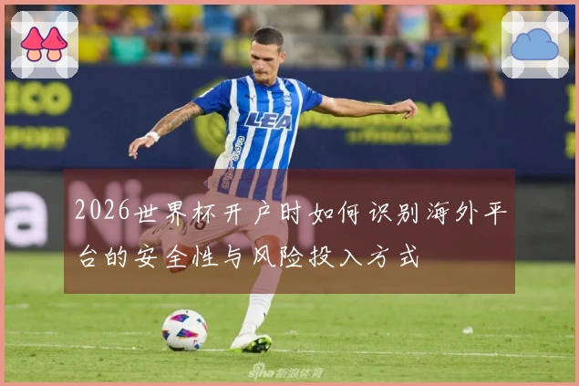 2026世界杯开户时如何识别海外平台的安全性与风险投入方式