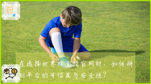 在选择世界杯竞猜官网时，如何辨别平台的可信度与安全性？