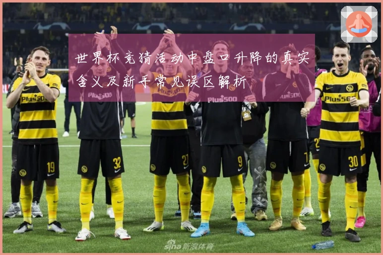世界杯竞猜活动中盘口升降的真实含义及新手常见误区解析