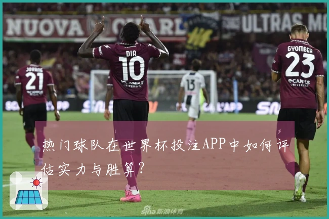热门球队在世界杯投注APP中如何评估实力与胜算？