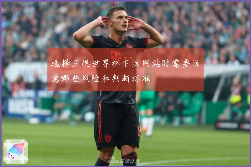 选择正规世界杯下注网站时需要注意哪些风险和判断标准