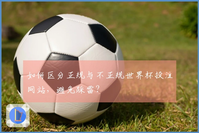 如何区分正规与不正规世界杯投注网站，避免踩雷？
