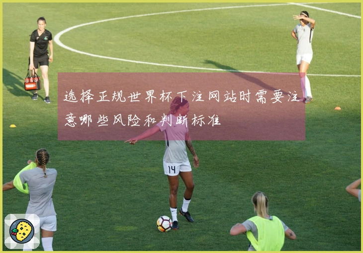 选择正规世界杯下注网站时需要注意哪些风险和判断标准