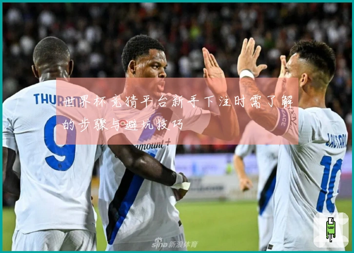 世界杯竞猜平台新手下注时需了解的步骤与避坑技巧