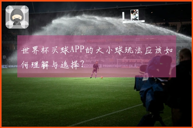 世界杯买球APP的大小球玩法应该如何理解与选择？