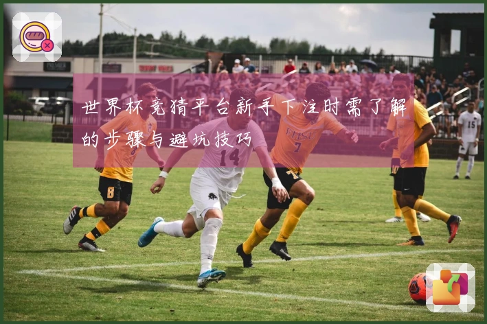 世界杯竞猜平台新手下注时需了解的步骤与避坑技巧