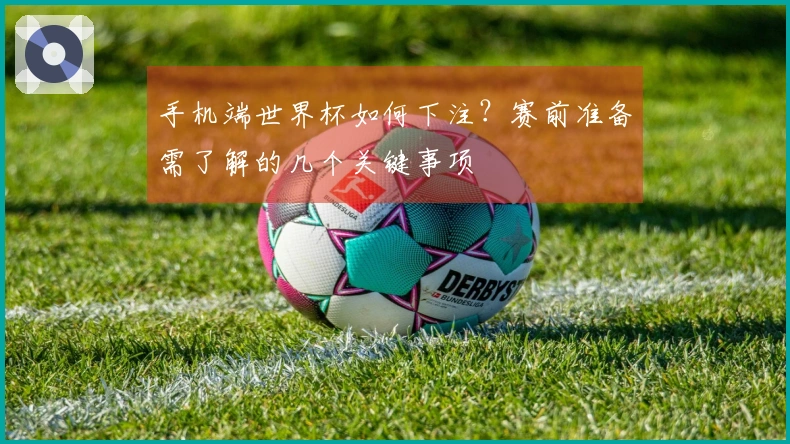 手机端世界杯如何下注？赛前准备需了解的几个关键事项